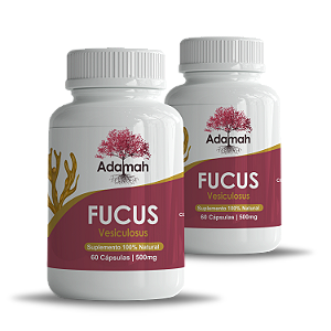 Kit 2x Fucus Vesiculosus 500mg - 120 Cápsulas 100% Natural