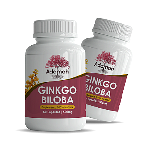 Kit 2 Ginkgo Biloba 100% Puro - 120 Cápsulas