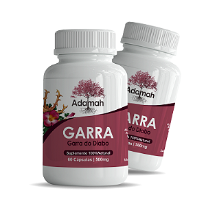 Kit 2 Potes Garra Do Diabo 500mg 120 Cápsulas O Verdadeiro