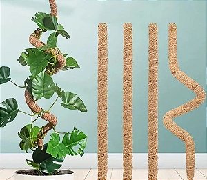Estaca de Apoio para Plantas - Suporte de Coco Natural