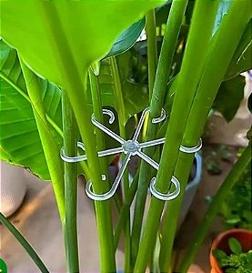 Suporte para Plantas - Acessório de Estabilização para Caules
