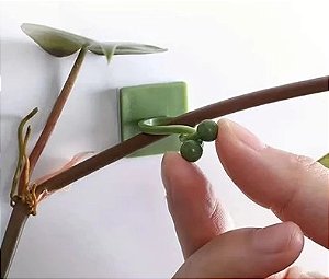 Grampos de Fixação para Plantas – Suporte Verde para Jardinagem