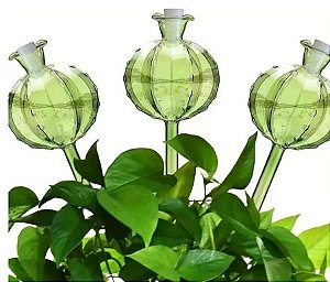 Globos de Irrigação Automática