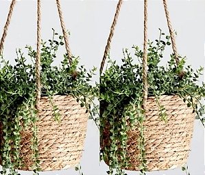 Vaso Suspenso Estilo Vintage