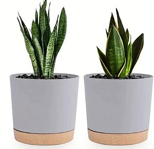 Vaso com furos drenagem