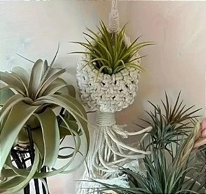 Suporte Para Planta Estilo Ninho Macramé