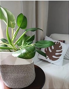 Cesto Organizador de Tecido