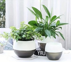 Vaso Moderno para Flores