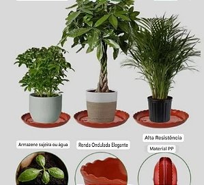 Pratos para Vasos -Em Plástico Resistente - Kit 3pçs P,M,G