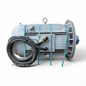 Motor Elétrico Trifásico 2 Pólos 460V 150CV 315S/M IPW55 WEG