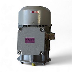 Motor Elétrico Trifásico 4 Polos 230/460v 1/4cv - ELEKTRA