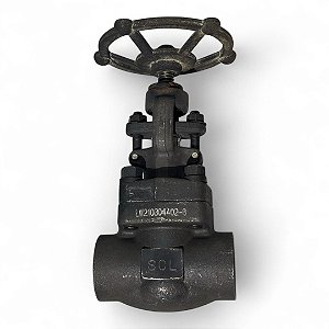 Corpo Aço Forjado Válvula Globo SLC - LW210304402-6