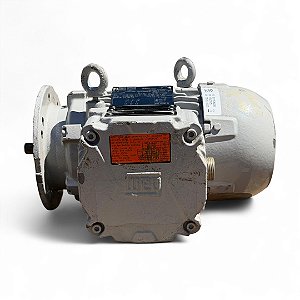 Motor Elétrico Trifásico 4P 480V 1/3CV EX W22XdB - WEG