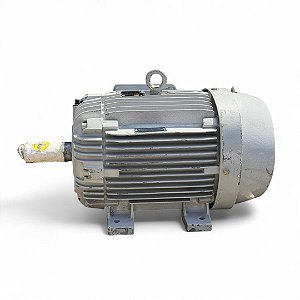 Motor Elétrico Trifásico 4P 460V 15CV 160M IPW66 EX IR3 WEG