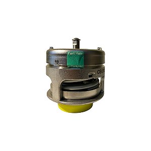 Válvula iFort Vale CE01B/133021 65mm MK3 Relief Valve 316 SS