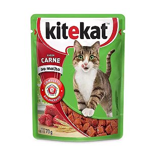 Ração Úmida KiteKat Carne ao Molho 70 g