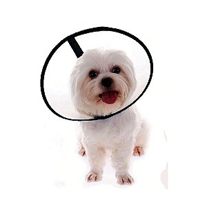 Colar Elizabetano Transparente Diversos