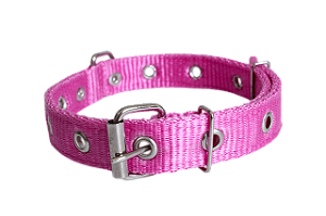 Coleira Nylon Dupla Grande Gisele