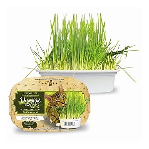 Graminha P/ Gatos - Digestive Grass - 50G