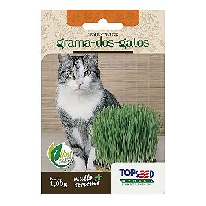 Sementes de Grama dos Gatos Tradicional Topseed Garden Único