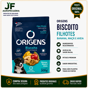 ORIGENS BISC FILH BANANA 300G