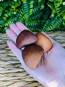 Fava de Oxum Andiroba - Unidade