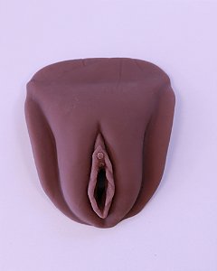VULVA EDUCATIVA BEM AMADOS COR NEGRA