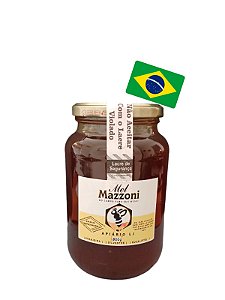 Mel Puro De Abelhas 100% Natural POTE DE VIDRO Direto do Produtor 750 gramas.