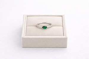 Anel Cravejado Zircônia - Prata 925