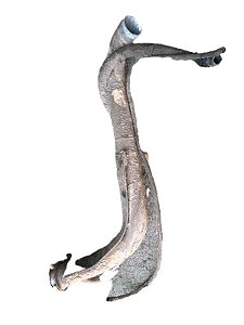 GARGALO DO TANQUE | UNO CS 1989