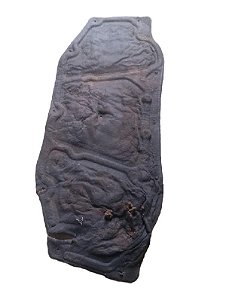 FORRO CAPÔ | SCENIC RXE 2.0 2001