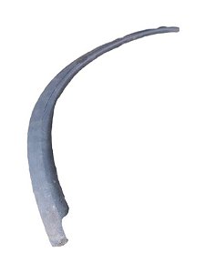 MOLDURA DIREITA PARA-CHOQUE DIANTEIRO | CORSA WIND 1997