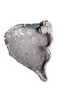 SENSOR ABS DIANTEIRA ESQUERDA | VECTRA CD 1995