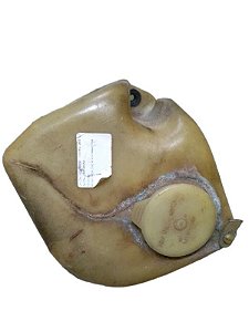 RESERVATORIO DE AGUA PARABRISA | VECTRA 1994