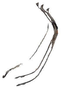 CINTAS TANQUE | ESCORT GLX 16VF 1998