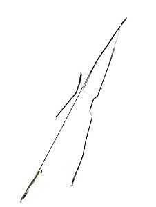 KIT VARÃO ABERTURA PORTA DIREITA | MONZA SL E 1.8 1988