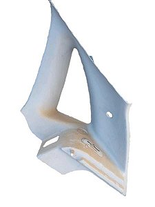 MOLDURA DIREITA COLUNA TRASEIRA | C3 XTR FLX 2008