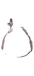 SENSOR ABS TRASEIRO DIREITO | SCENIC RXE 2.0 2001