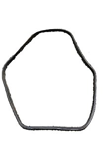 BORRACHA PORTA TRASEIRA ESQUERDA | VECTRA CD 1995