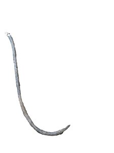 MANGUEIRA | VECTRA CD 1995