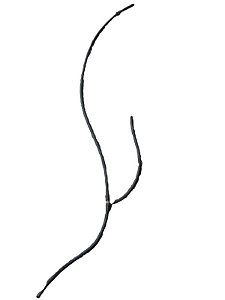 MANGUEIRA BRUCUTU | CORSA WIND 1995