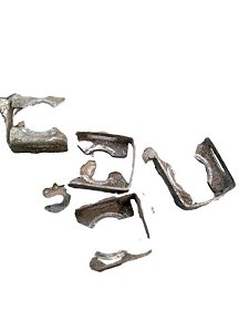 GRAMPOS BICOS | VECTRA CD 1995