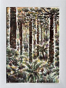 Arte Original - página 049 - Era Uma Vez no Contestado