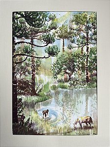 Arte Original - página 011 - Era Uma Vez no Contestado