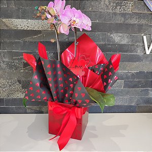 Orquídea Phalaenopsis com 2 Hastes – Embalagem Decorativa e Plaquinha Love