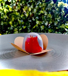 Bombom de Pixuri - Noz-moscada da Amazônia (17g)