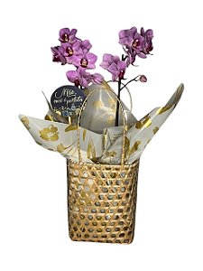 Arranjo de Orquídeas em Cesta Elegante