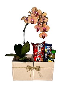 Kit Presente com Orquídea e Delícias