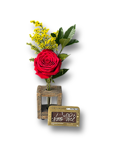 Solitário de Rosa Importada Vermelha com Chococard