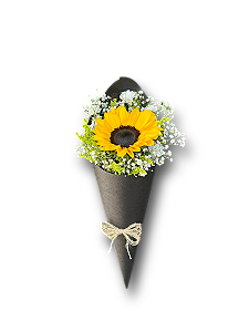 Bouquet Cone de Girassol